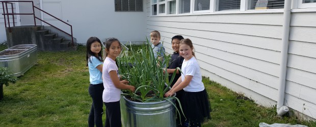 Under the leadership of Mme. Dare and others and with the help of our PAC and the school district, the Marlborough Garden is beginning to show signs of spring. There […]